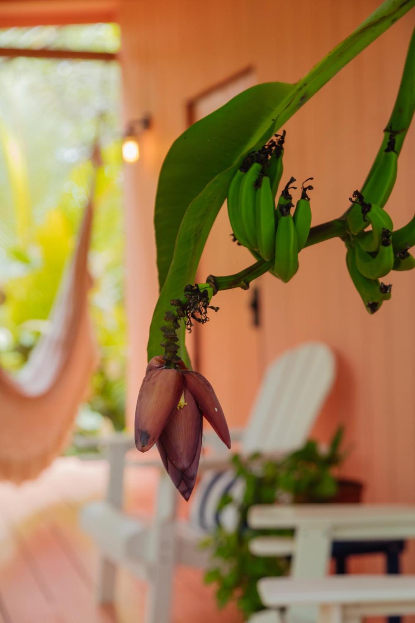 Solea Villa Tropical Santa Marta Dış mekan fotoğraf