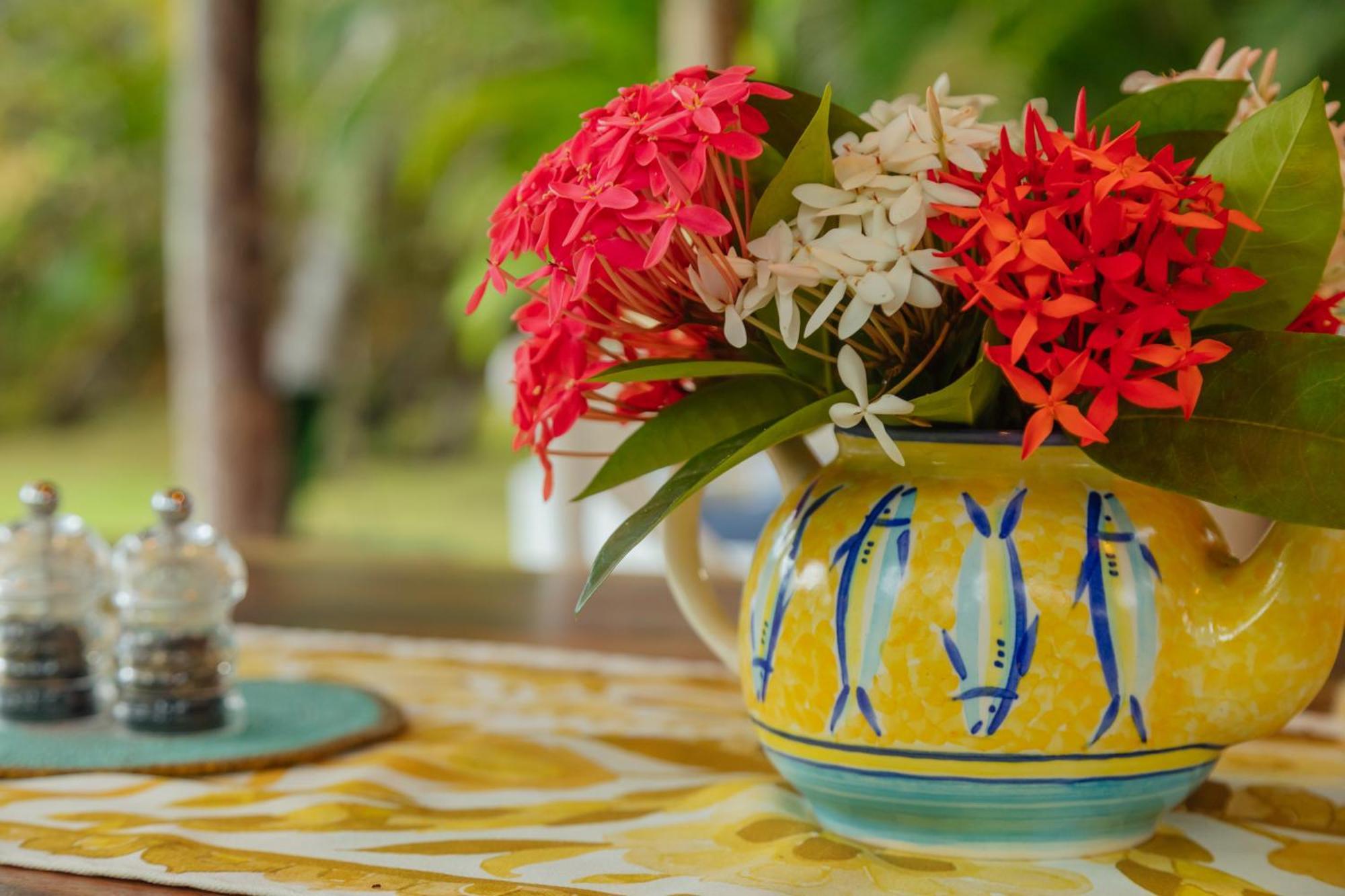 Solea Villa Tropical Santa Marta Dış mekan fotoğraf