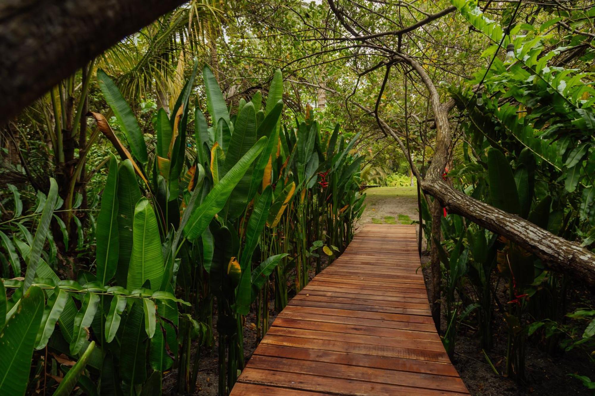 Solea Villa Tropical Santa Marta Dış mekan fotoğraf