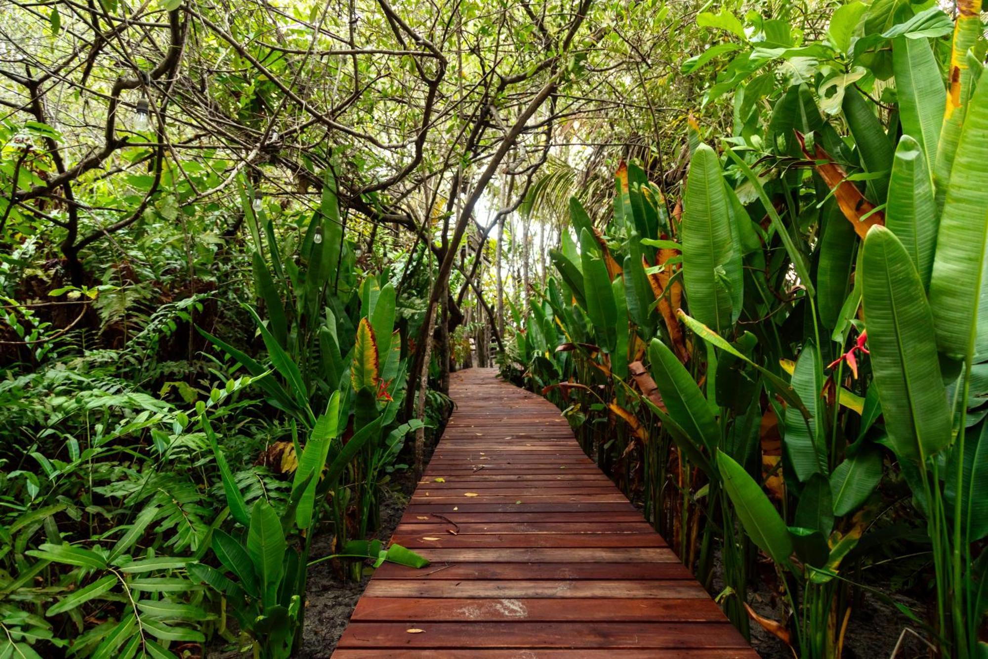Solea Villa Tropical Santa Marta Dış mekan fotoğraf